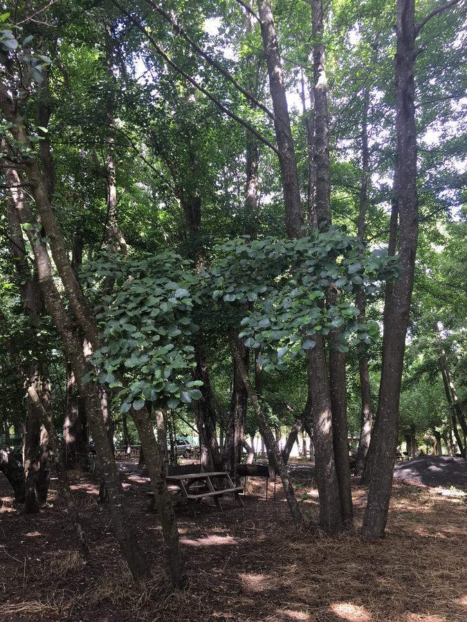 Cabanas Y Camping Playa Hermosa 洛斯安赫莱斯 外观 照片